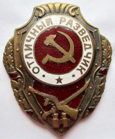 Знак " ОТЛИЧНЫЙ РАЗВЕДЧИК"