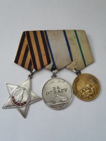 орден «Славы III степени», медаль «За отвагу»,медаль «За оборону Ленинграда».