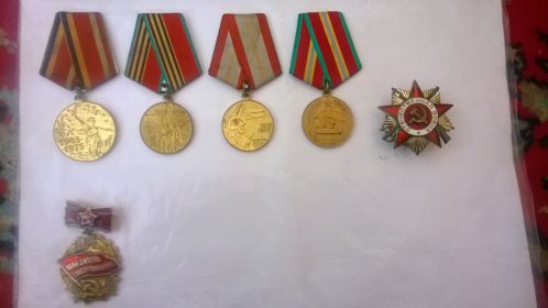 Медали "За боевые заслуги", "Орден Отечественной войны 1 степени"