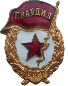 Нагрудный знак "Гвардия"