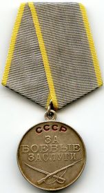 •	Медаль «За боевые заслуги» - приказ № 11/н от 06.11.1944 года 326 гв. минп 3БелФ