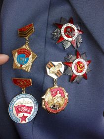 " За отвагу " медаль,  Орден Отечественной войны II степени