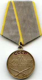 " За отвагу ", медаль ЗА БОЕВЫЕ ЗАСЛУГИ, орден Отечественной войны