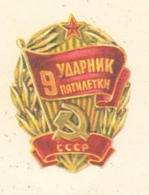 Знак "Ударник девятой пятилетки"