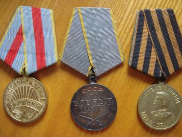 Медали: За освобождение Варшавы, За боевые заслуги, За Победу над Германией в ВОВ