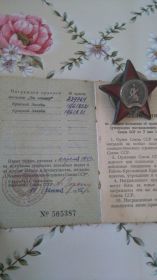 медаль за отвагу, ордин красной звезды, за участие героической обороны Москвы, за участие  в штурм освобождение Варшавы, за победу над Германией