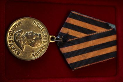 " За боевые заслуги, За Победу над Германией"