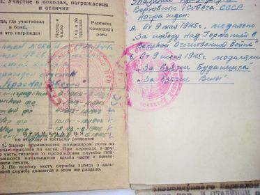 медали "За победу над Германией в ВОв 1941-1945 гг.", "За взятие Будапешта", "За взятие Вены"