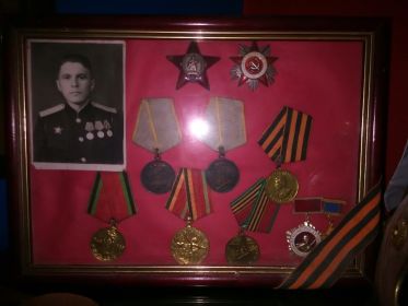 Орден "Красной Звезды", медали "За Боевые Заслуги", медаль "За Победу над Германией", Юбилейные награды
