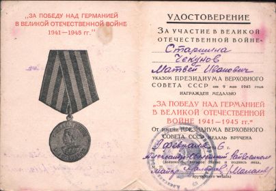 Медаль «За победу над Германией в ВОВ 1941-1945 гг.»