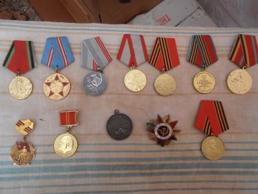 орден Отечественной Войны,медали за Отвагу