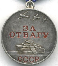 "Орден отечественной войны", "За отвагу", "За боевые заслуги", "За победу над Германией", "Медаль Георгия Жукова" и 10 медалей приуроченных к юбилеям победы ВС СССР в Великой Отечественной войне.