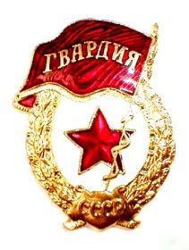 Нагрудный знак "Гвардия"