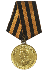 Медаль "За победу над Германией в Великой Отечественной войне 1941—1945 гг."