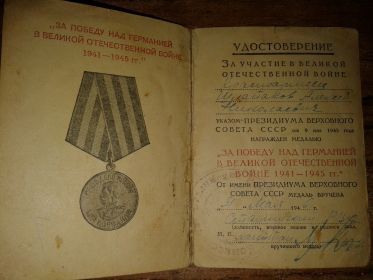 " За победу над Германией В Великой Отечественной Войне 1941-1945гг