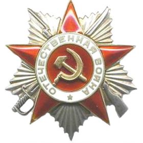 орден "Отечественная война" 2 степени, медаль "За отвагу"