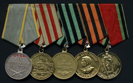 Медаль За боевые заслуги, За оборону Москвы, За победу над Германией, За взятие Кенигсберга.
