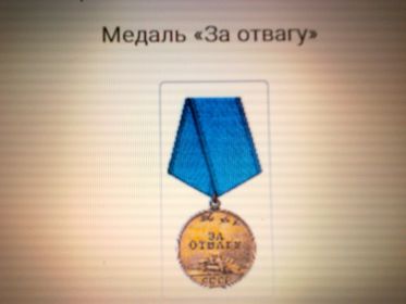 "  Медаль "За отвагу"-4, орден Славы, орден Отечественной войны, за взятие Кенигсберга, за победу над Японией, за победу над Германией