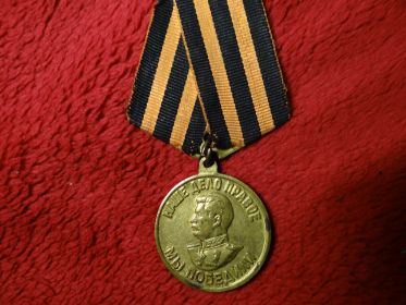 «ЗА ПОБЕДУ НАД ГЕРМАНИЕЙ В ВЕЛИКОЙ ОТЕЧЕСТВЕННОЙ ВОЙНЕ 1941 — 1945 гг. (№0315720)»;