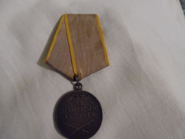 Медаль За боевые заслуги №562159