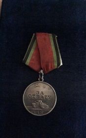 "  Медаль "За отвагу",За оборону Кавказа,за победу над Германией,за победу над Японией