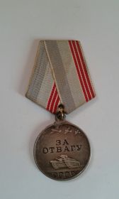 "   Медали "За отвагу", За боевые заслуги", "За победу над Германией"