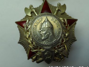 Орден АЛЕКСАНДРА НЕВСКОГО  приказ поСеверо-Западному Фронту  № 0552  1943 год.