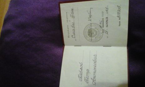 "Медаль за отвагу", "Орден Славы 3 степени" № 807305 от 29 июня 1945