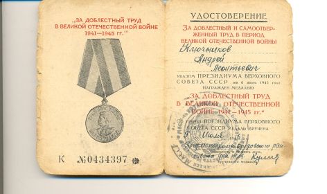 Медаль за доблестный и самоотверженный труд во время ВОВ 1941-1945гг