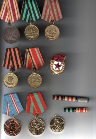 "   Медали "За отвагу", за взятие Кёнигсберга, за победу над японией, за оборону Москвы,  за победу над германией
