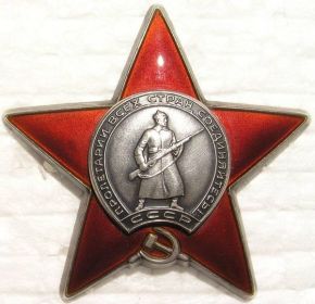 Орден Красной звезды № 3538765