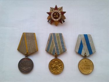 Медали "За боевые заслуги", "За оборону Советского Заполярья", "За взятие Вены", Орден Отечественной войны 2 степени.