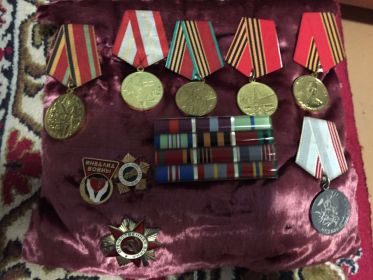 Медаль "За оборону Кавказа", орден Красной Звезды, медаль Жукова, медаль "За Оборону Севастополя", "За Победу над Германией", орден Отечественной война I степени, Памятный знак "Фронтовик"