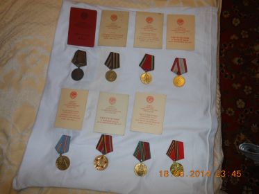Медаль "За победу над Германией 1941-1945 г.г.; юбилейные медали 20, 30, 40 лет Победы в Великой Отечественной войне 1941—1945 гг.; 50, 60 лет Вооруженных Сил СССР