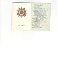 Медаль за победу над Германией 1941-1945, Орден Отечественной Войны II степени