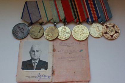 орден Отечественной войны II степени, медаль За отвагу, за Берлин, за Сталинград, за оборону Киева, за оборону Ленинграда.