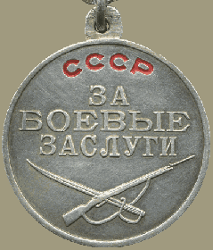 медаль "За боевые заслуги"№890304