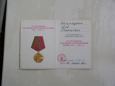 Юбилейная медаль 50 лет великой войне