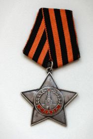 Орден славы III степени.