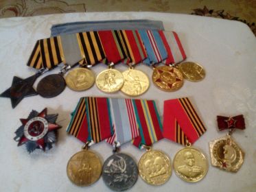 медаль "За отвагу",орден Солдатской Славы III степени,За боевые заслуги,За победу над Германией,орден ВОВ 3 степени