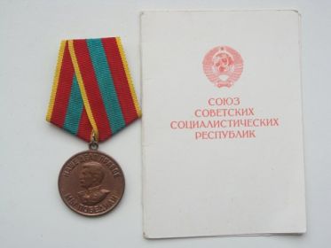 За доблестный труд в Великой Отечественной Войне 1941 – 1945 гг.