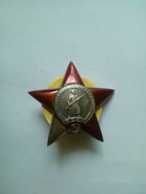 Орден Красной Звезды, Медаль за победу над Германией, Медаль за взятие кенигсберга