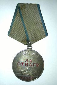 Медаль за отвагу. Приказ от 17 июня 1944 года N029/н