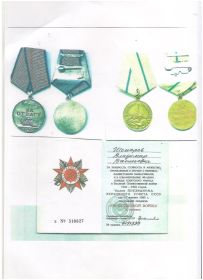 Медаль «За отвагу», Медаль «За оборону Ленинграда», Орден «Отечественной войны 2 степени» - 11 марта 1985г.