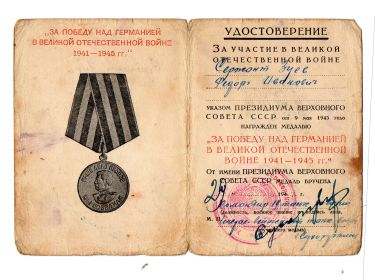Медаль «За победу над Германией в Великой Отечественной войне 1941 – 1945 гг.»