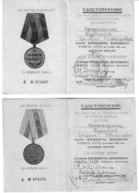 Медаль «За взятие Будапешта», медаль «За взятие Вены».
