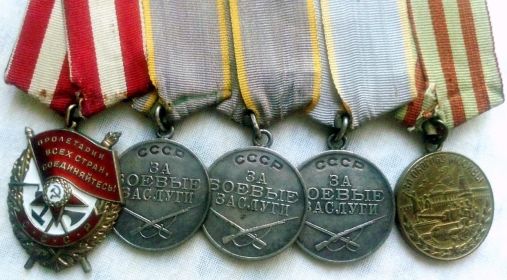 Орден Красного Знамени, Медаль “За боевые заслуги”, Медаль “За оборону Москвы”
