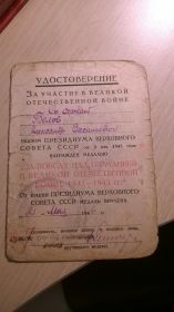 медаль за победу над Германией в ВОВ 1941-1945