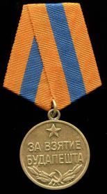 Медаль за взятие Будапешта, Медаль за Победу над Германией