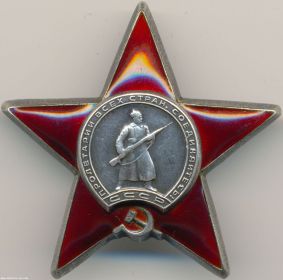 орден Красной Звезды, медаль "За боевые заслуги", медаль "За оборону Москвы", медаль "За победу над Германией"